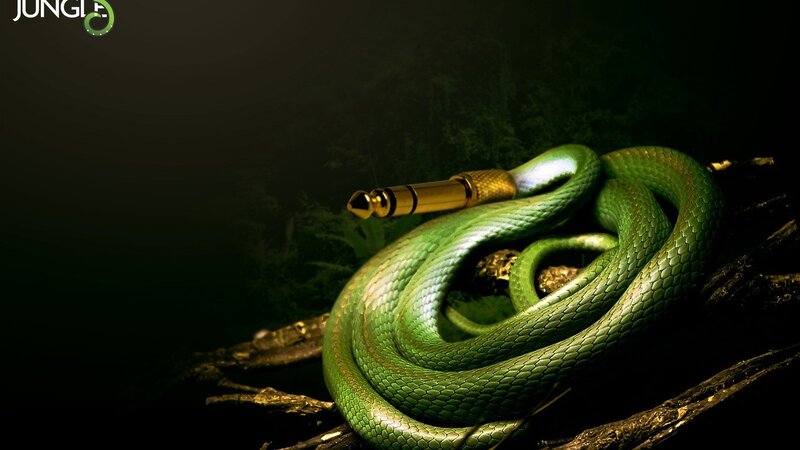 Green Snake Coiled — Dramatic, Night, Digital Art