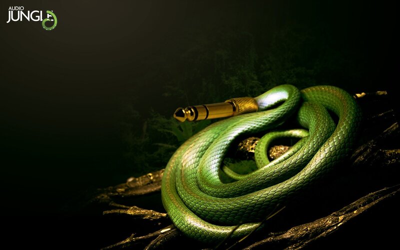 Green Snake Coiled — Dramatic, Night, Photograph
