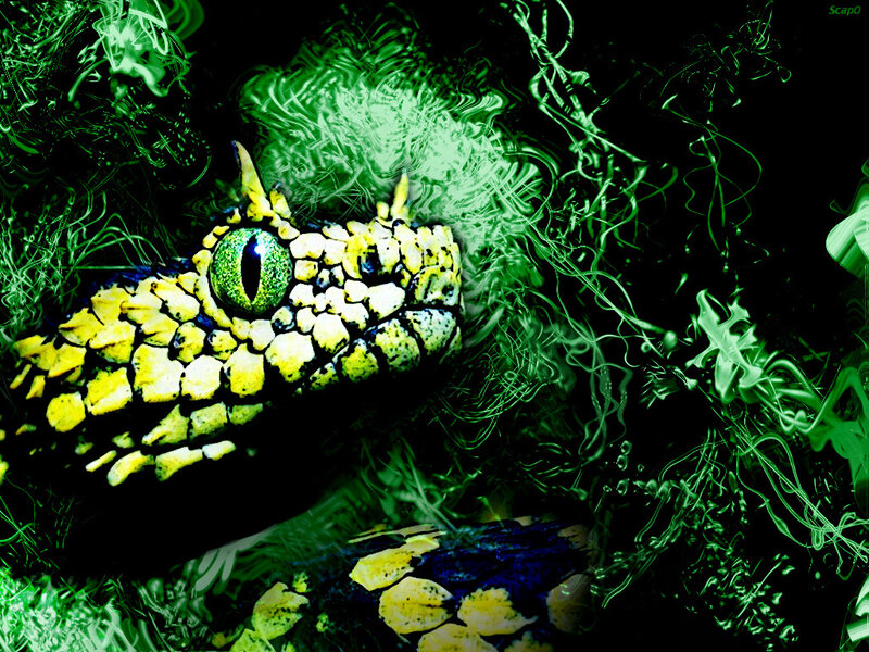 green snake in abstract environment
