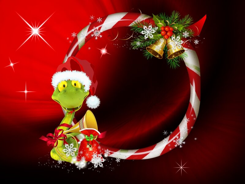 Green Snake in Santa Hat