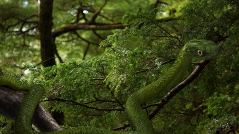 Green Snake in Tree