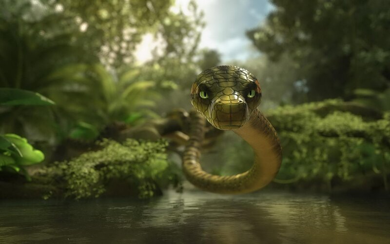 Green Snake in Water