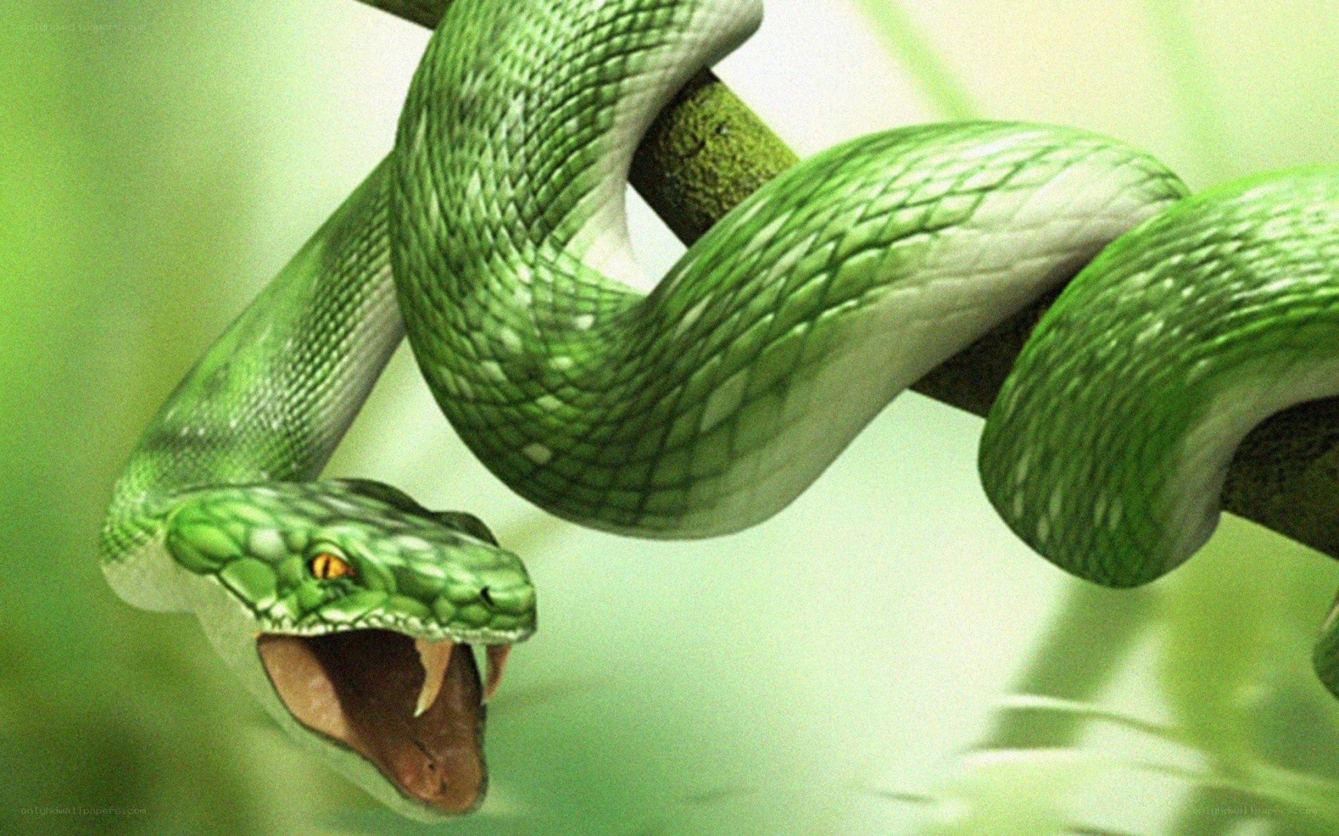green snake on a branch