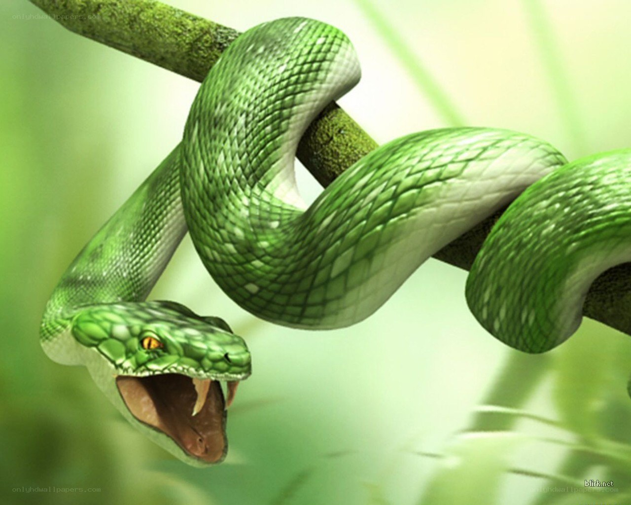 green snake on a branch