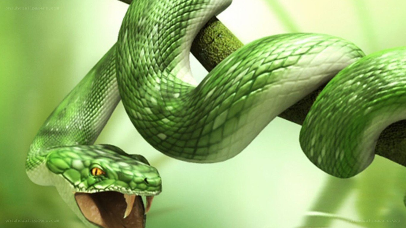 green snake on a branch