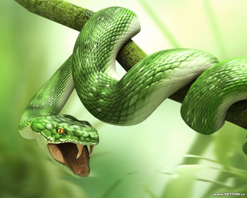Green Snake on Branch — Dramatic, Digital Art, Open Mouth
