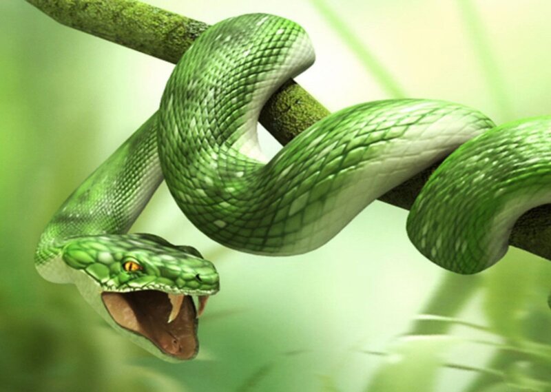 Green Snake on Branch — Dramatic, Digital Art