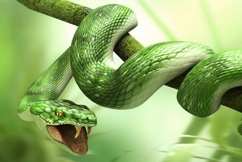 Green Snake on Branch — Dramatic