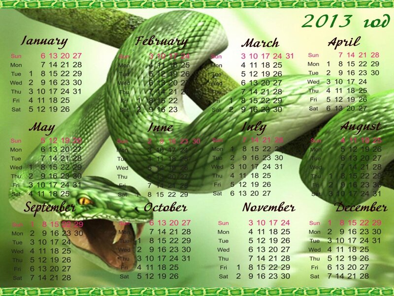 Green Snake on Calendar — Neutral, Illustration