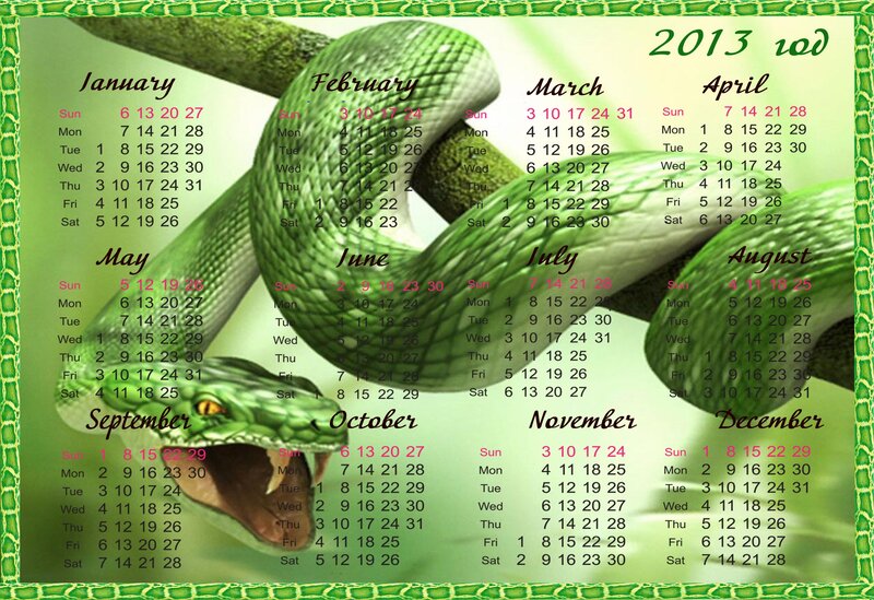 Green Snake on Calendar — Neutral