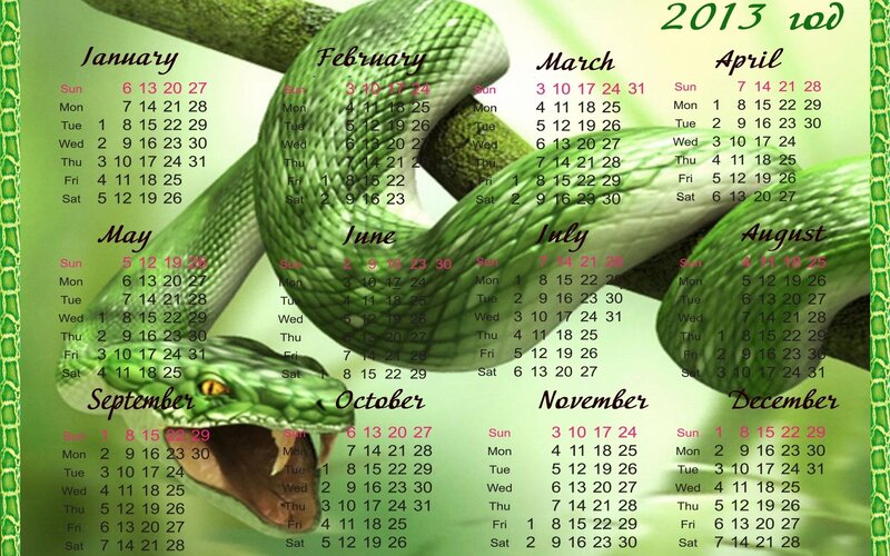 Green Snake on Calendar