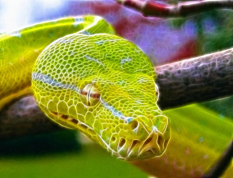 Green Snake on Leaf — Vibrant