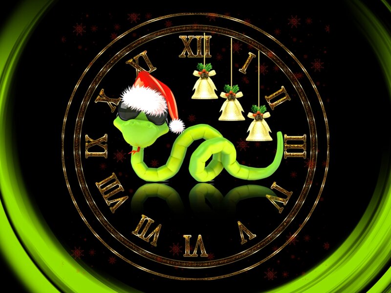 Green Snake Wearing Hat