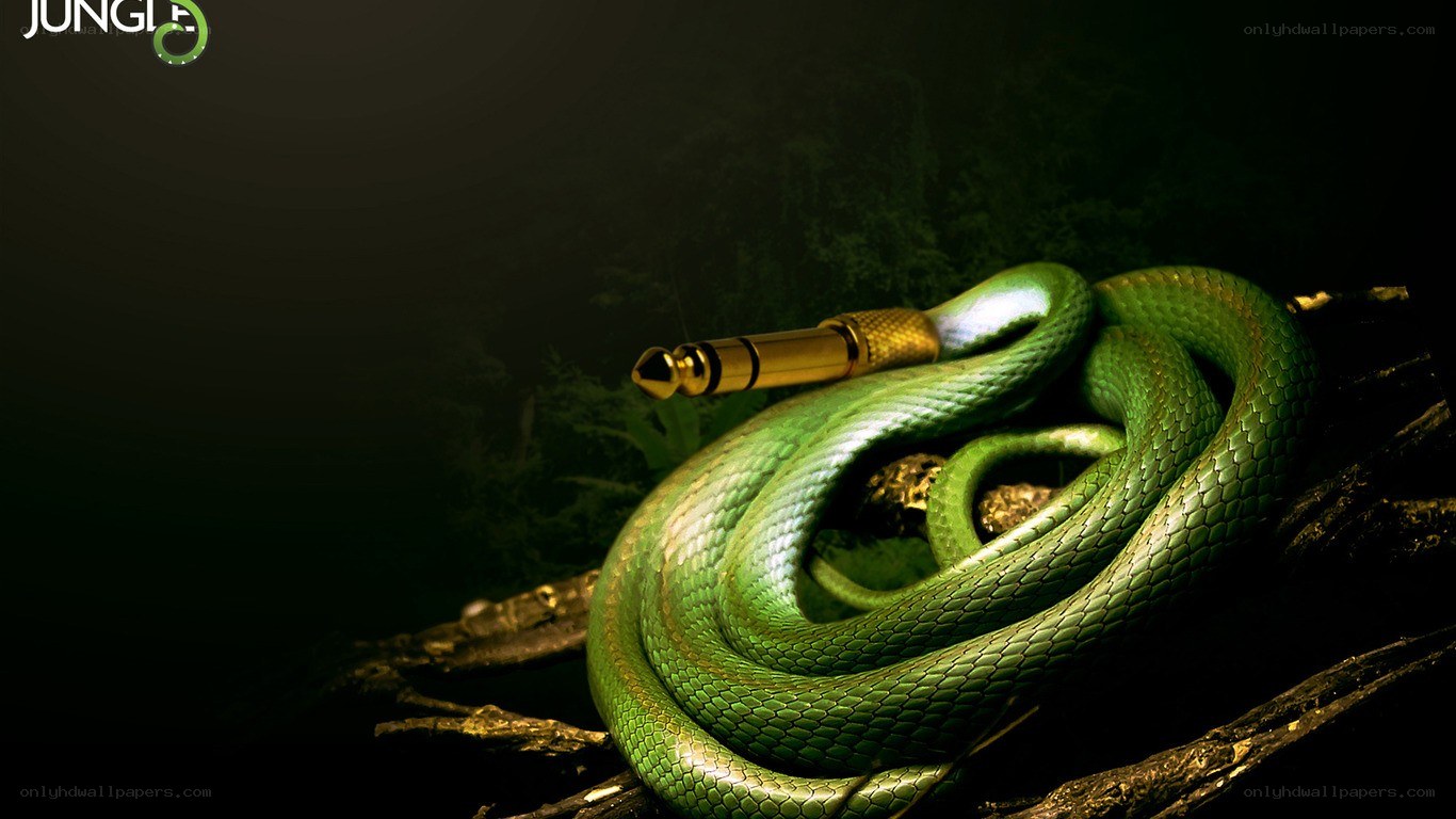 green snake with audio jack