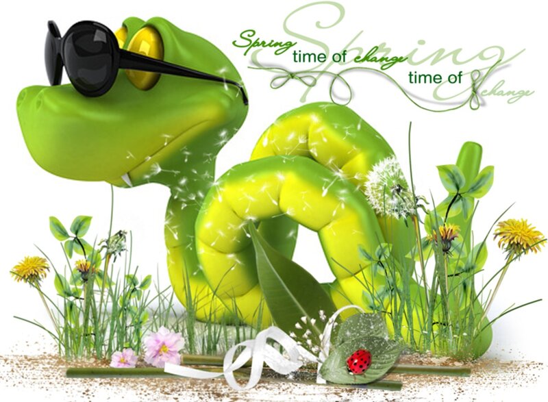 Green Snake with Sunglasses