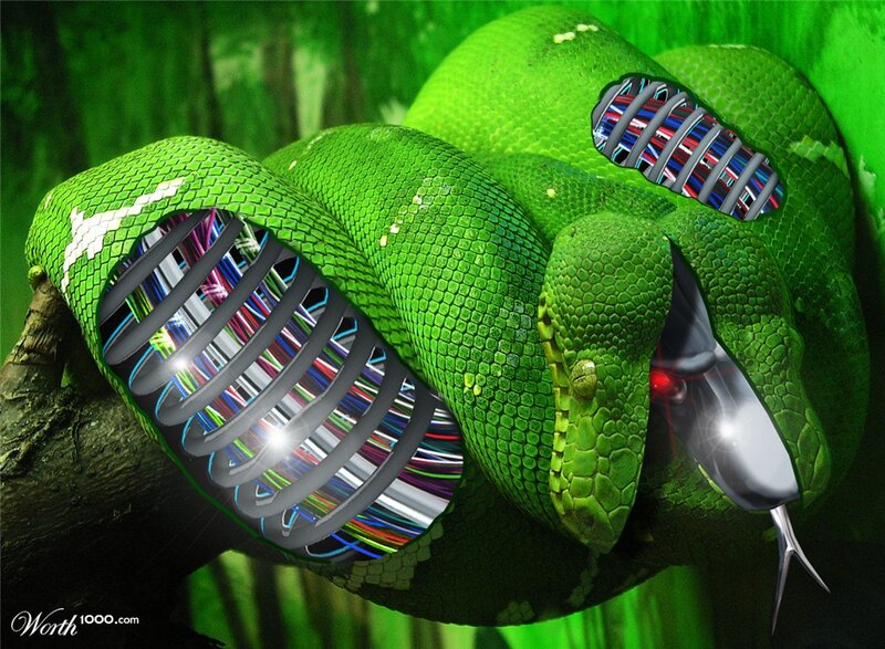Green Snake with Wires