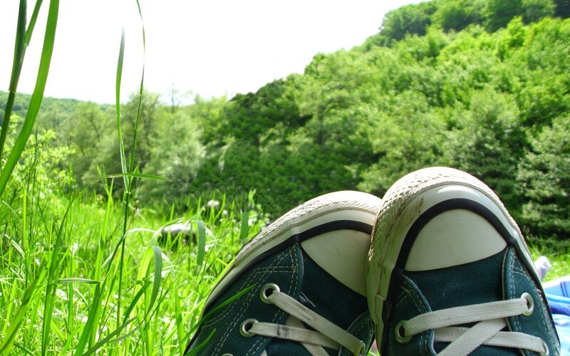 Green Sneakers in Grass