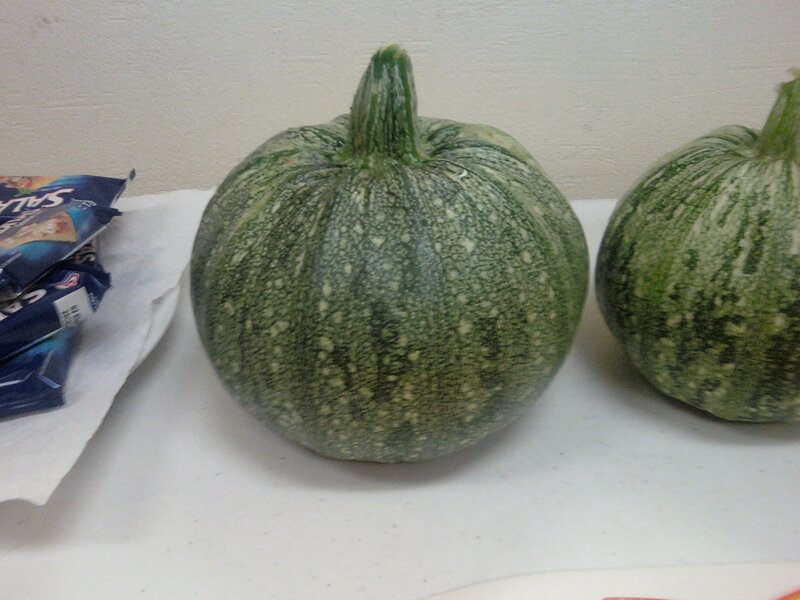Green Speckled Squash