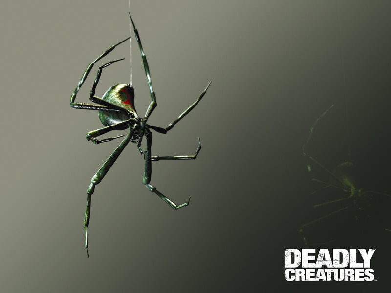 Green Spider on Web — Dark, Ominous