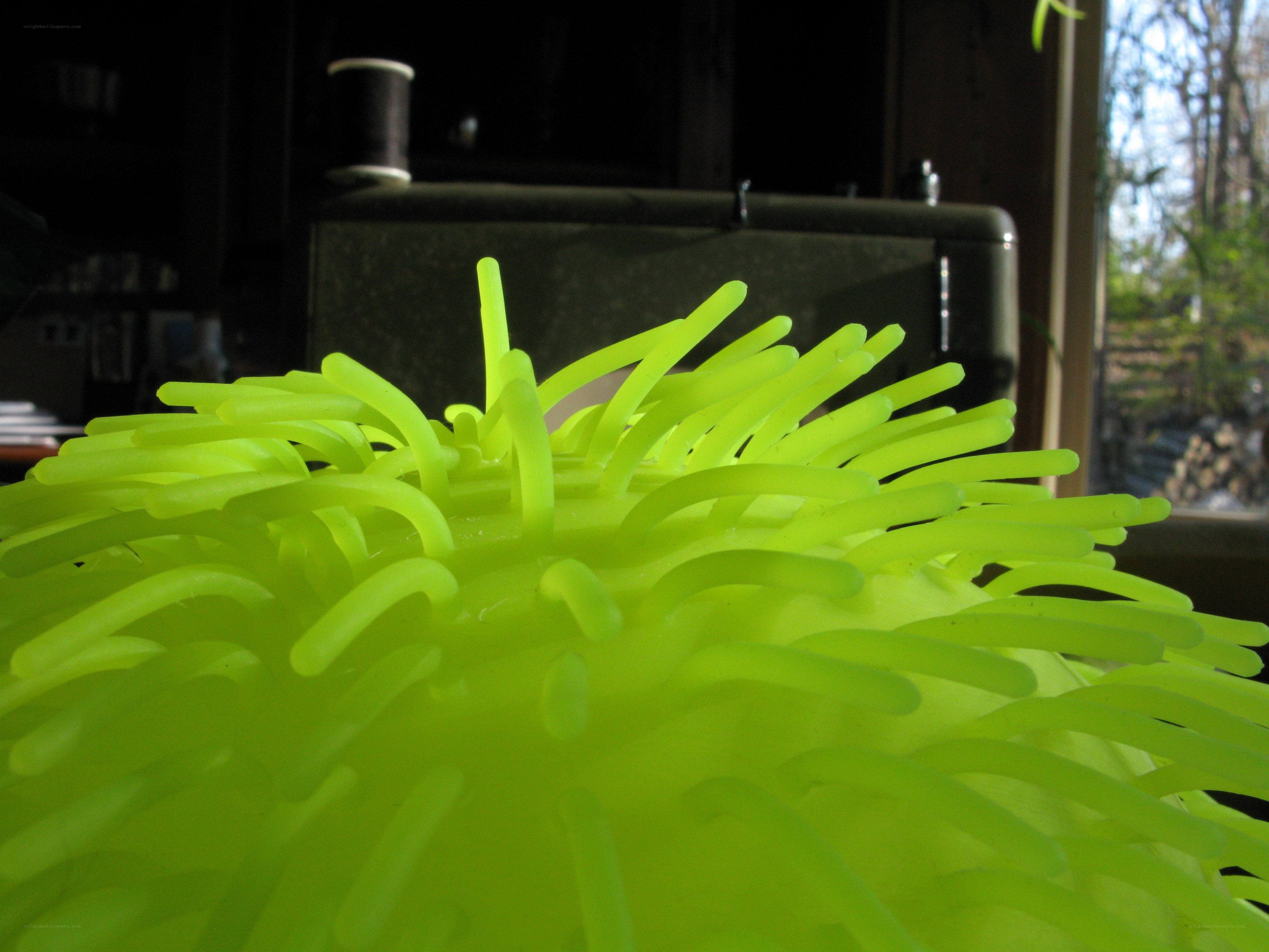 Green spiky ball toy