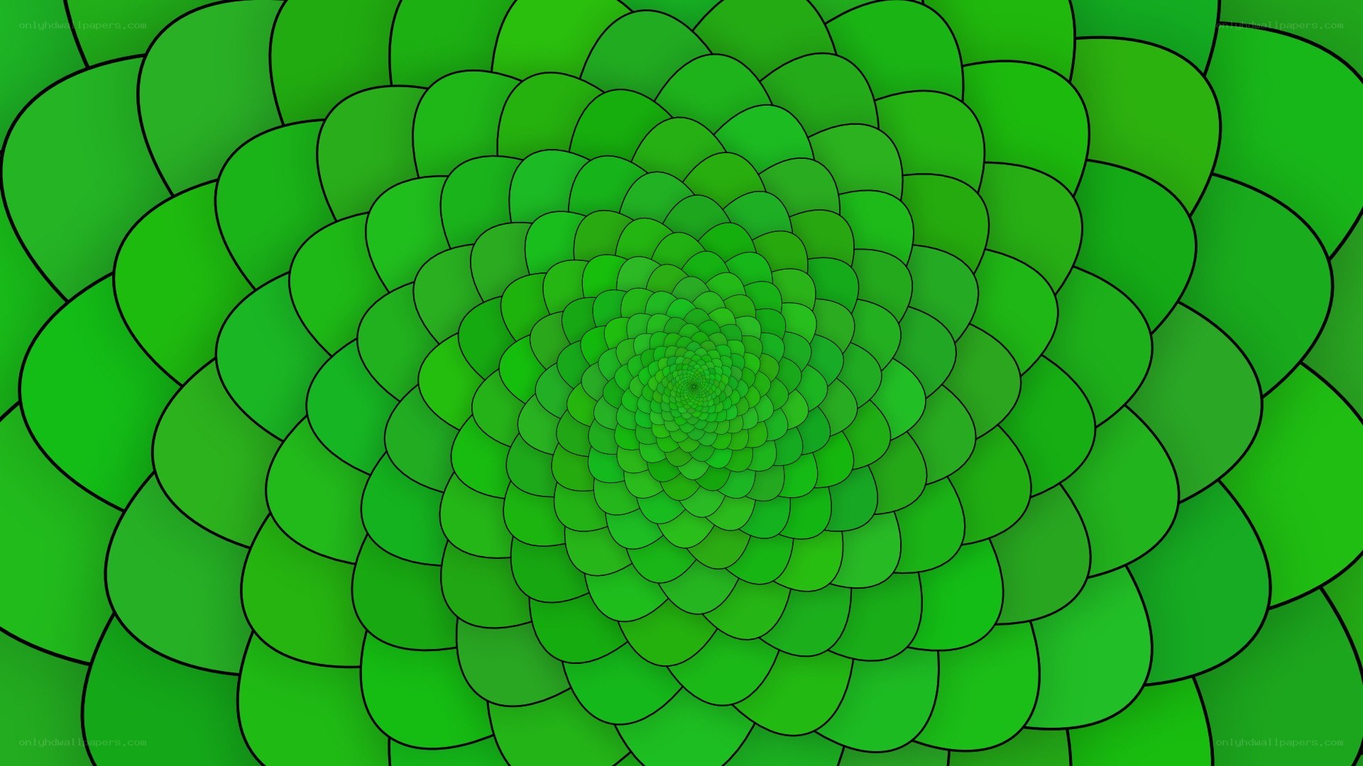 green spiral pattern