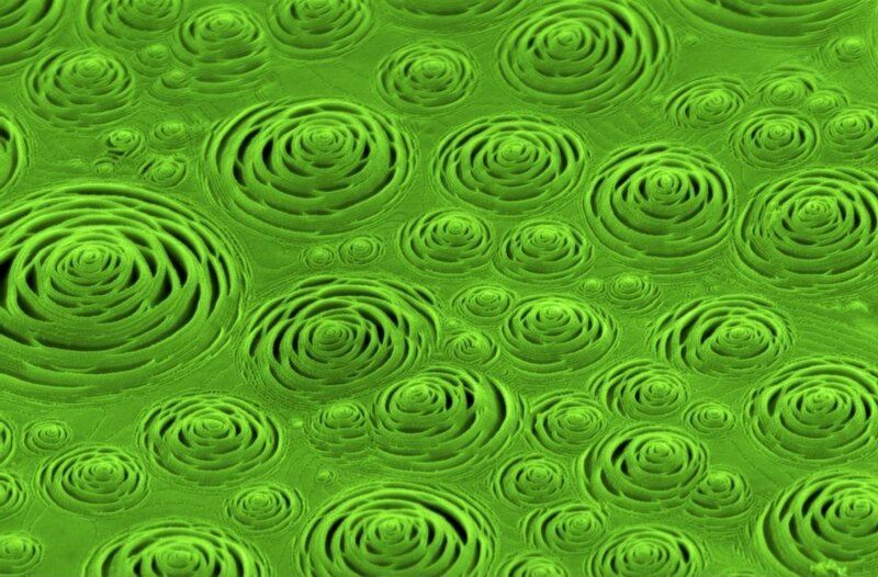 Green Spiral Patterns — Calm