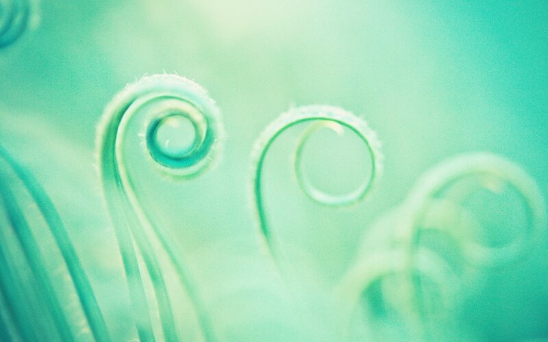 green spiral patterns