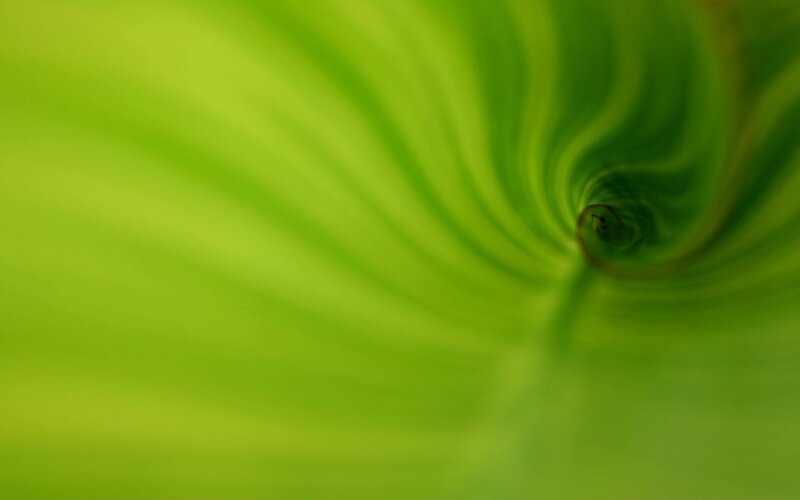 green spiral tunnel