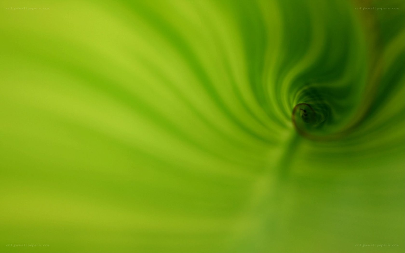green spiral tunnel