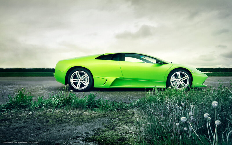 Green Sports Car — Dramatic, Photograph, Dandelions