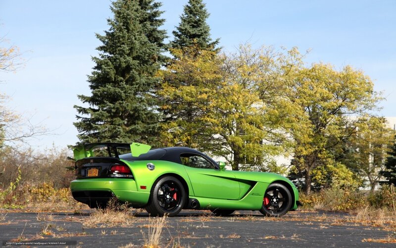green sports car in autumn