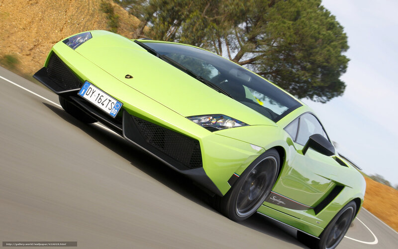 Green Sports Car — Lime Green, Dynamic, Afternoon, Photograph, Road, Tree