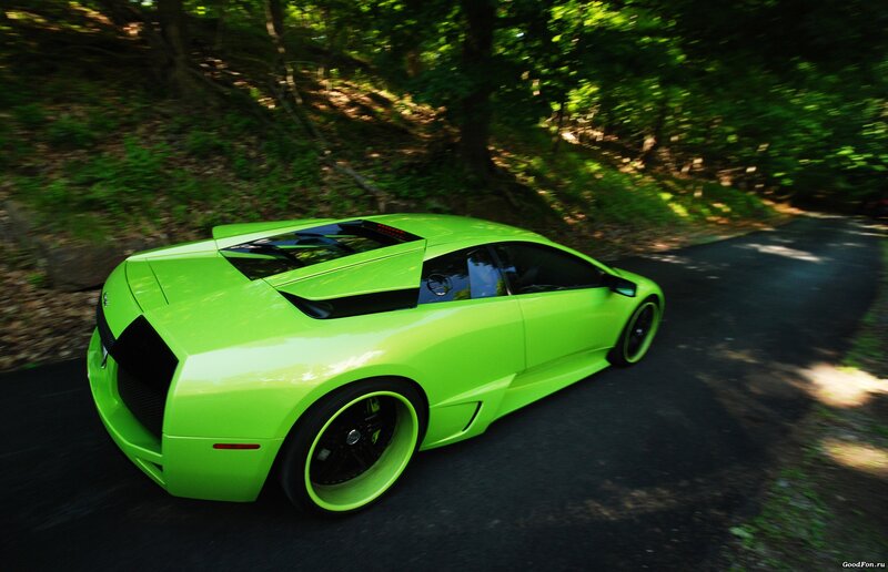 green sports car on forest road