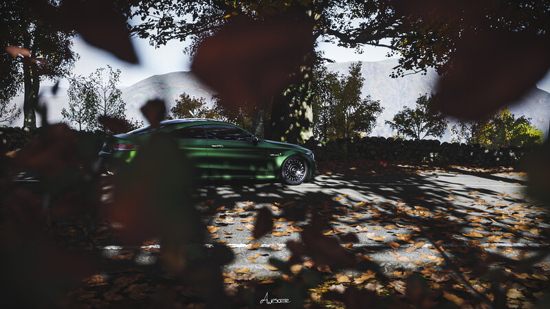 Green Sports Car — Serene, Autumn, Photograph, Leaves