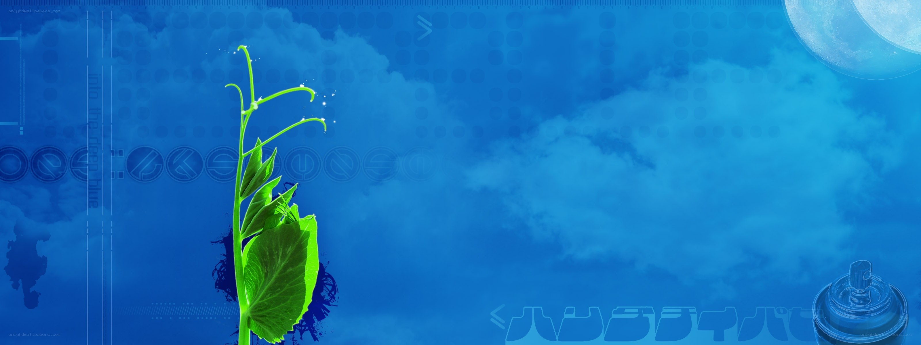 green sprout against blue sky