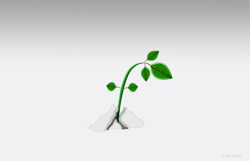 Green Sprout Growing — Serene
