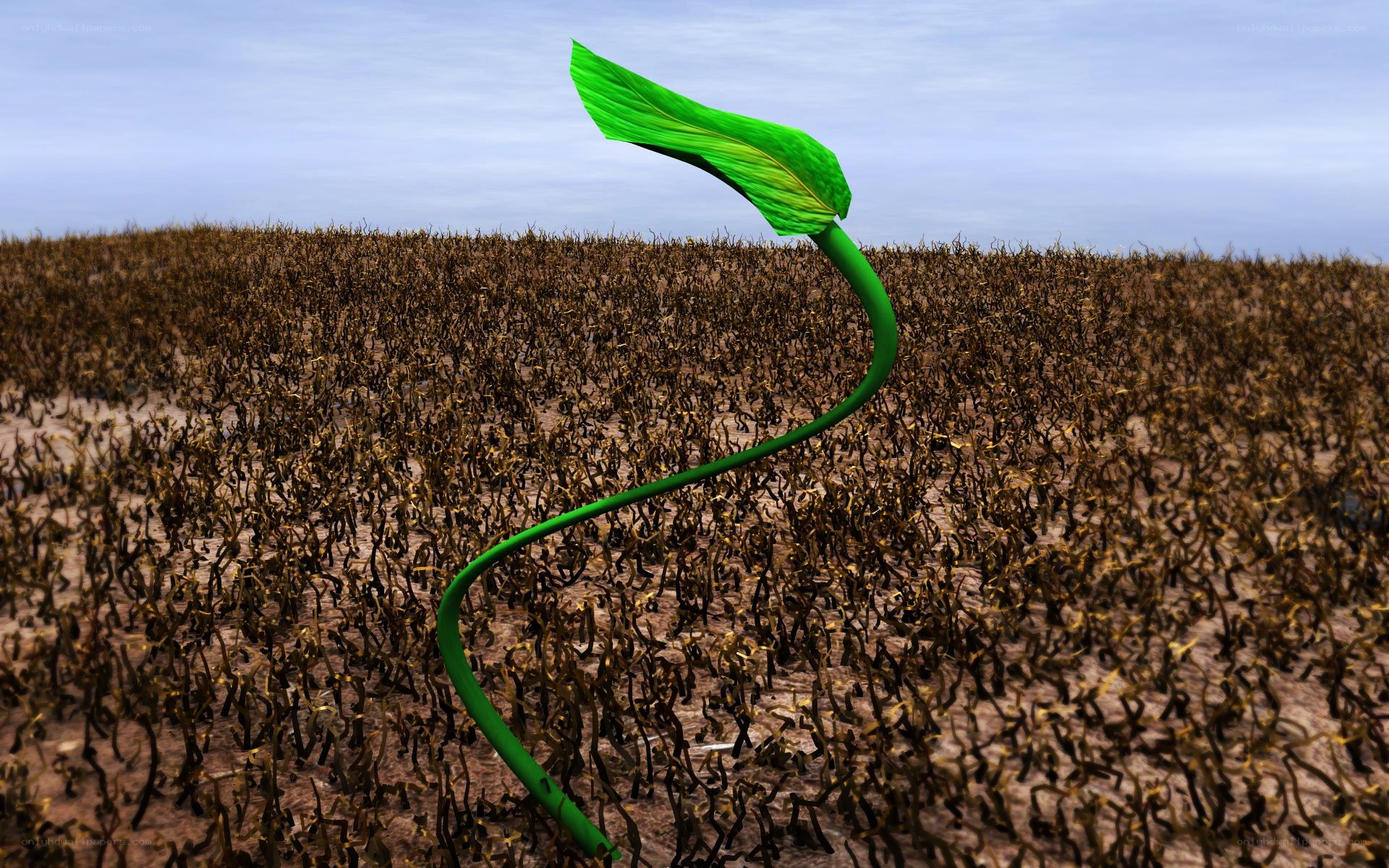 green sprout in dry field