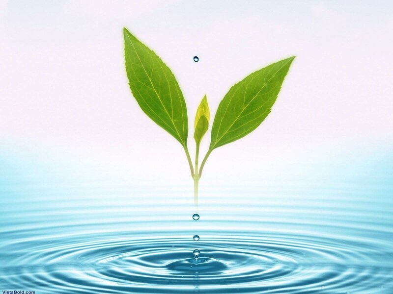 Green Sprout in Water — Blue