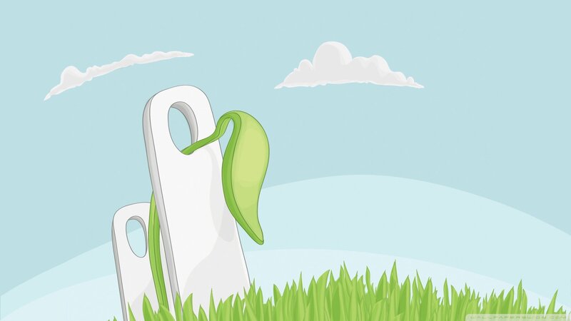 green sprout on white object
