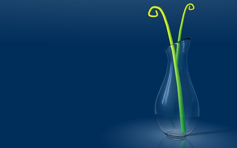Green stems in a glass vase