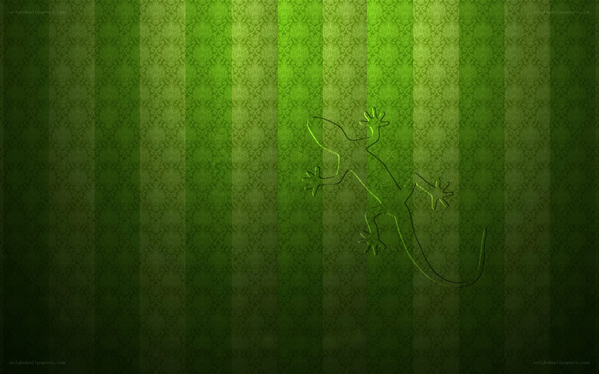 green striped gecko design