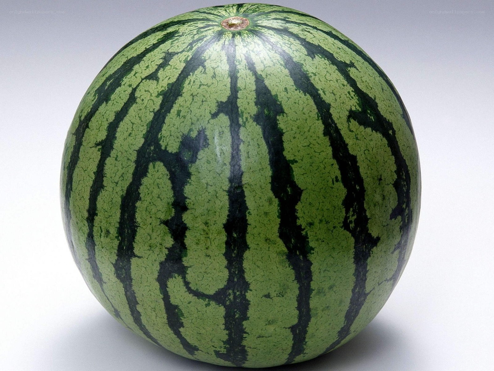 green striped watermelon