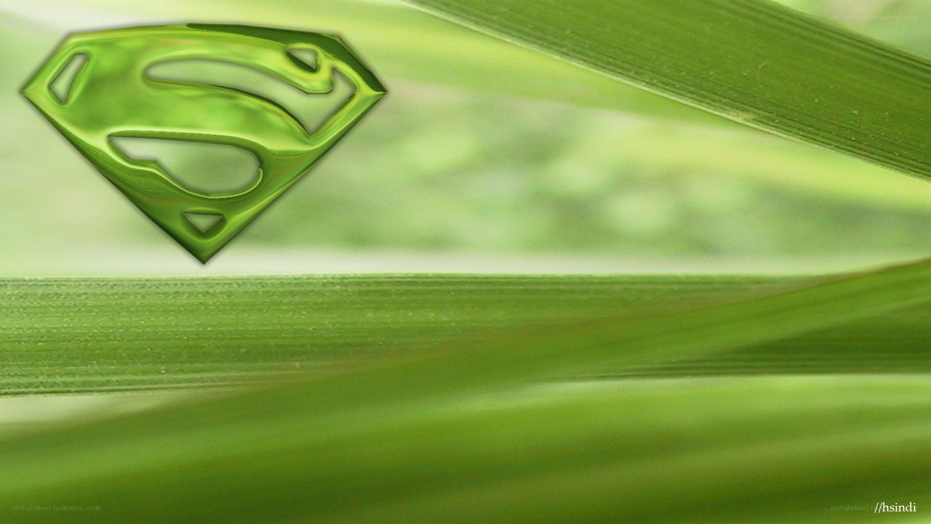 green superman logo on leaves