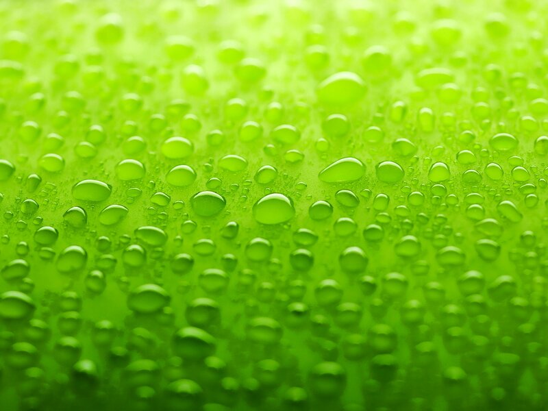 Green Surface with Water Droplets — Calm