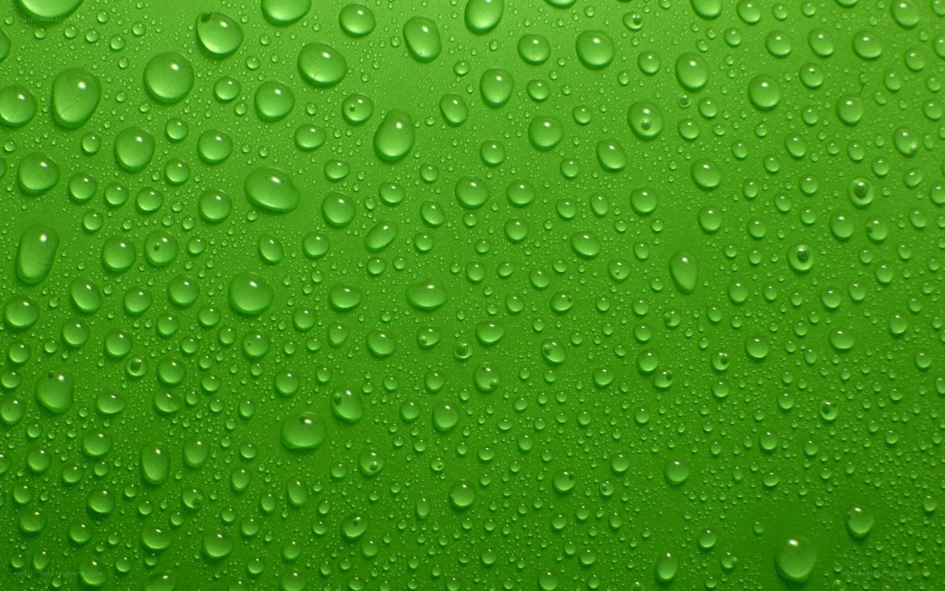 green surface with water droplets