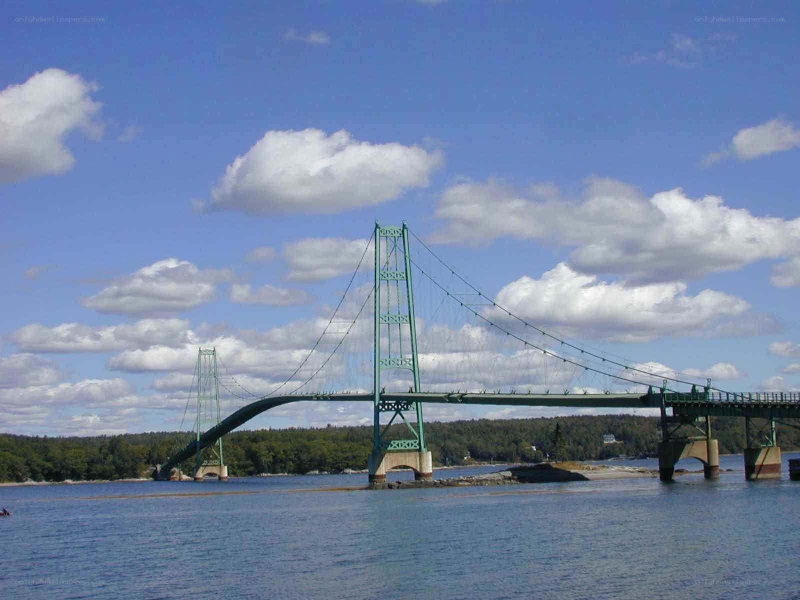 Green suspension bridge over water