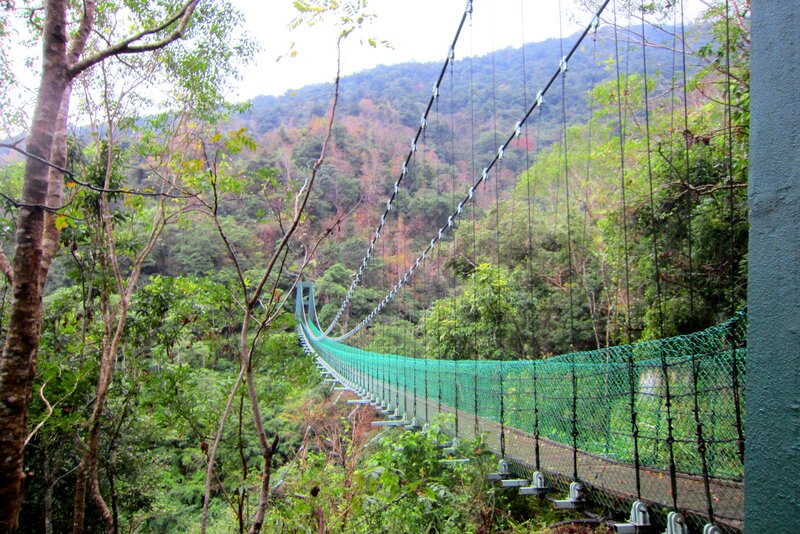 Green Suspension Bridge — Serene
