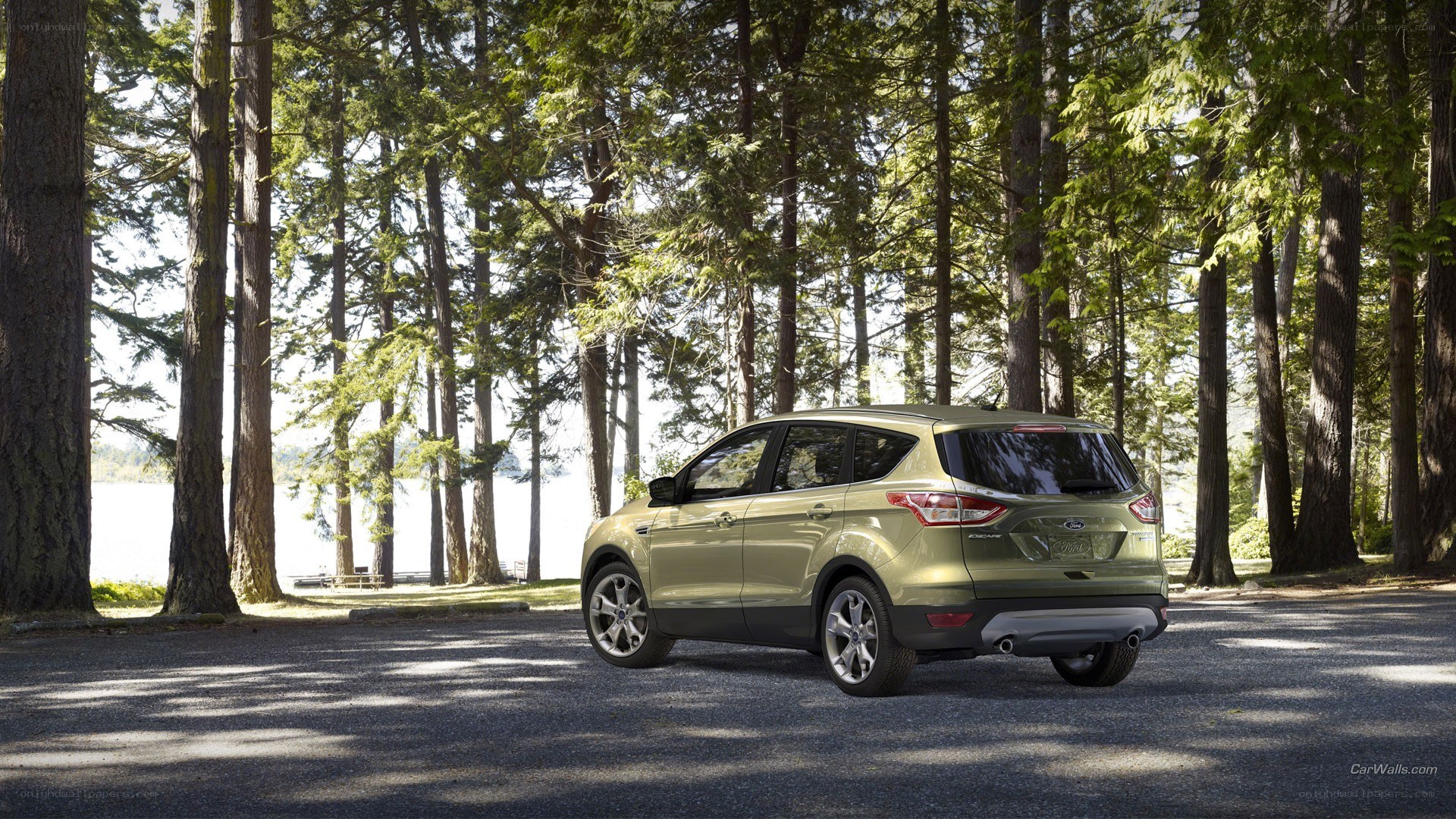 Green SUV in forest parking