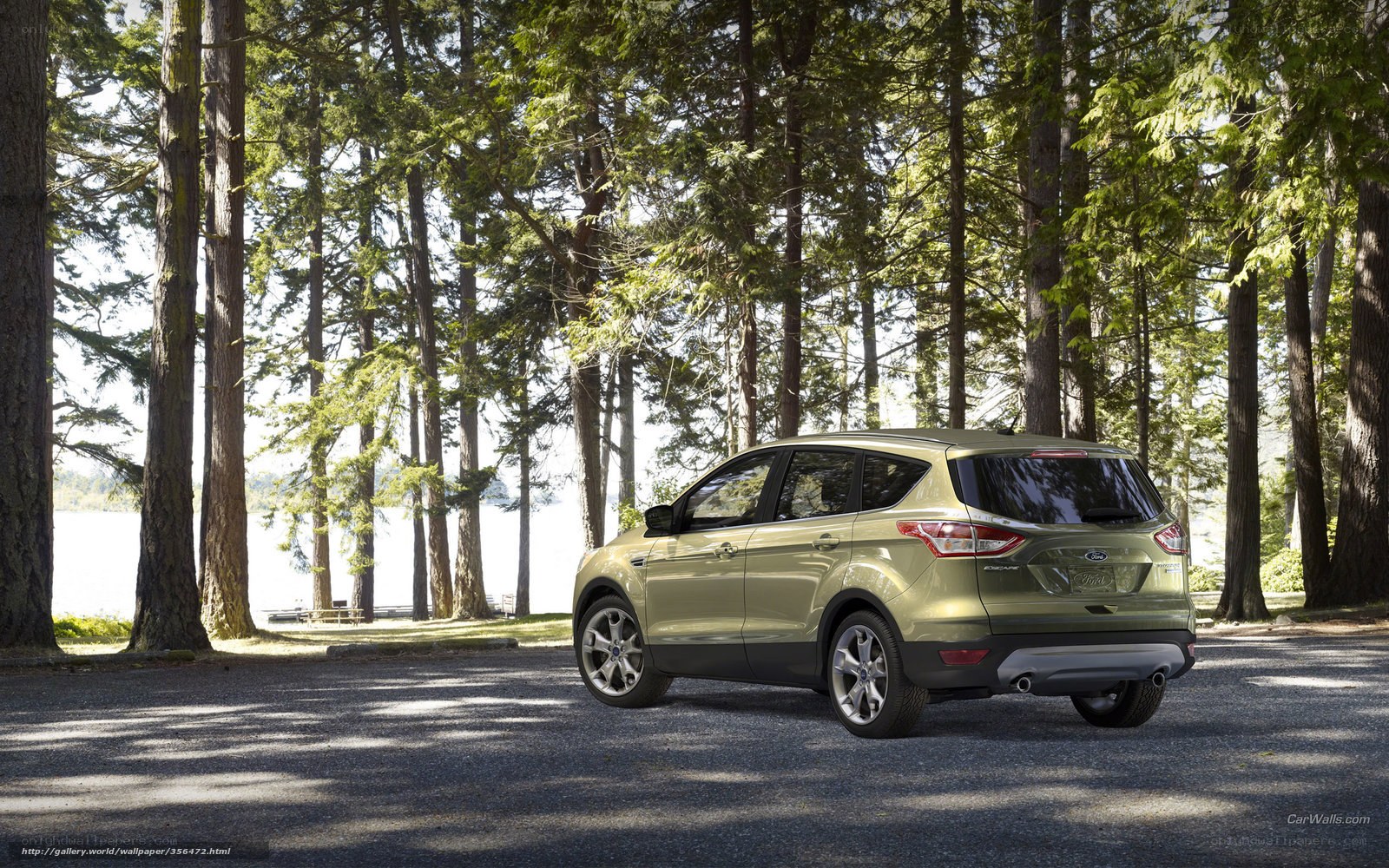 Green SUV in forest parking