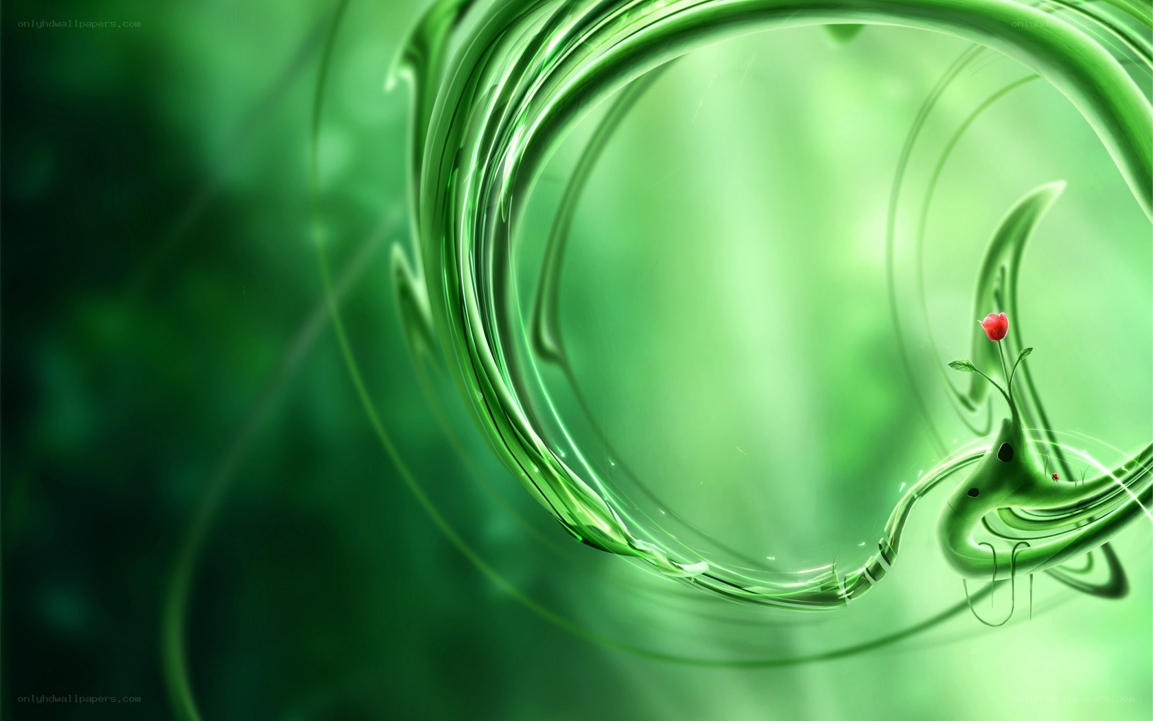 Green swirl with red flower